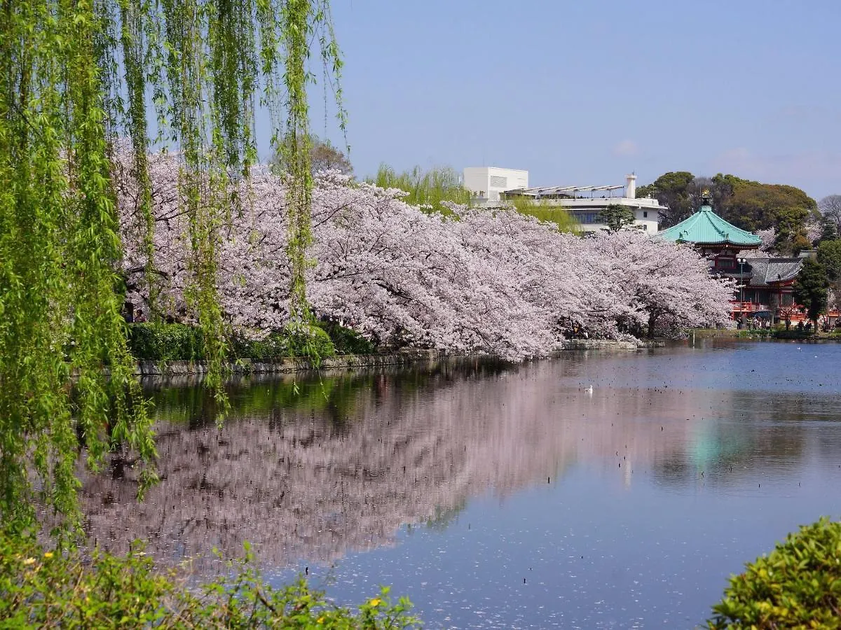 Sotetsu Fresa Inn Ueno-Okachimachi Tokyo Hotel
